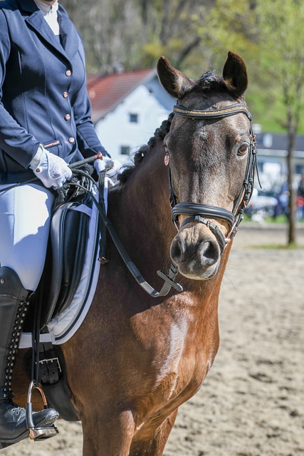 凭借反击战 凭借反击战